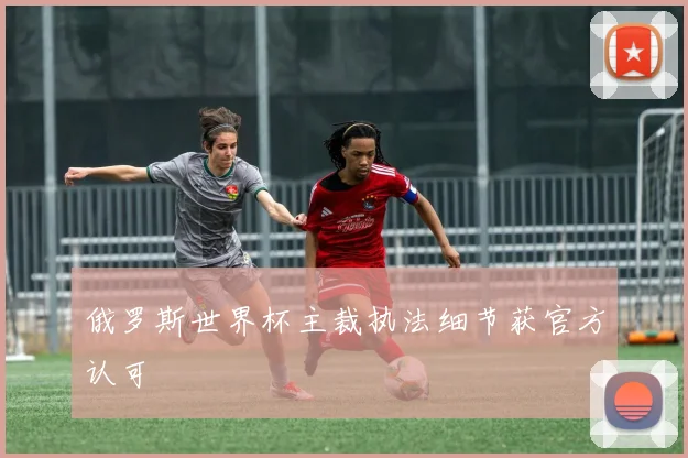 俄罗斯世界杯主裁执法细节获官方认可