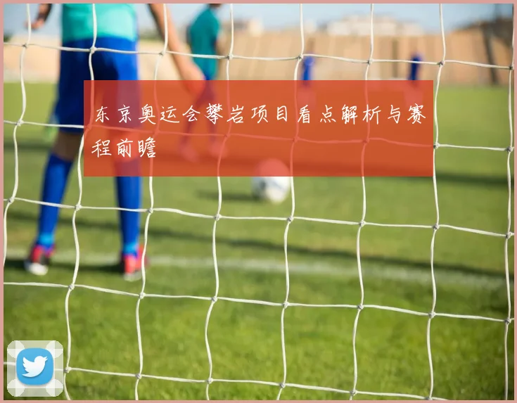东京奥运会攀岩项目看点解析与赛程前瞻