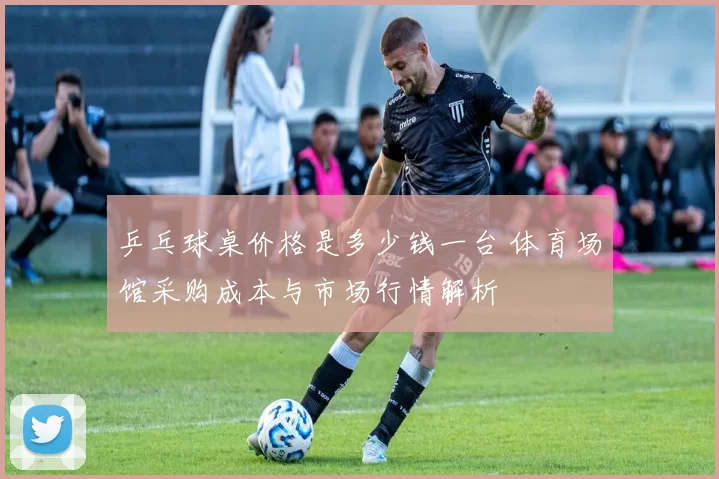 乒乓球桌价格是多少钱一台 体育场馆采购成本与市场行情解析