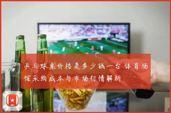 乒乓球桌价格是多少钱一台 体育场馆采购成本与市场行情解析