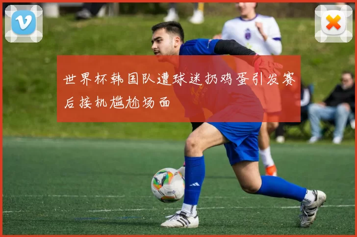 世界杯韩国队遭球迷扔鸡蛋引发赛后接机尴尬场面