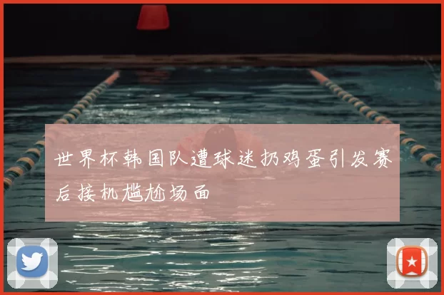 世界杯韩国队遭球迷扔鸡蛋引发赛后接机尴尬场面