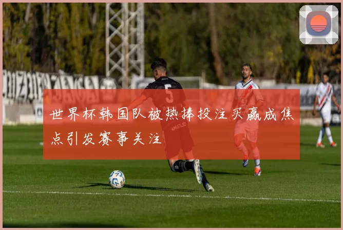 世界杯韩国队被热捧投注买赢成焦点引发赛事关注