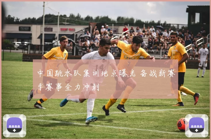 中国跳水队集训地点曝光 备战新赛季赛事全力冲刺